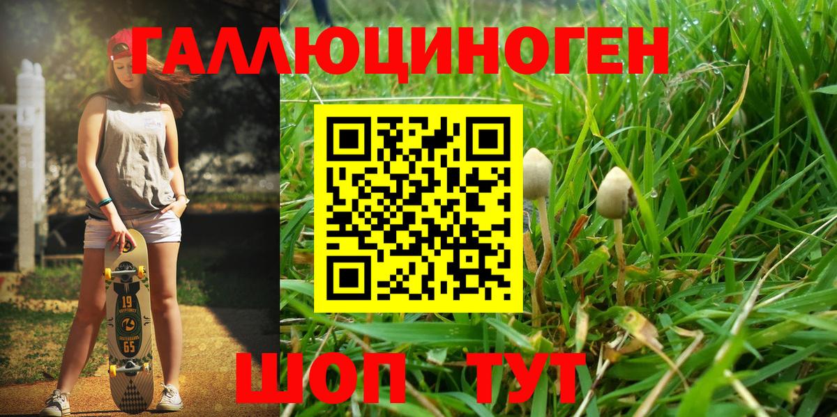 Галлюциногенные грибы Psilocybe  Псилоцибиновые грибы MAGIC MUSHROOMS  Каменка  Вход с VPN 